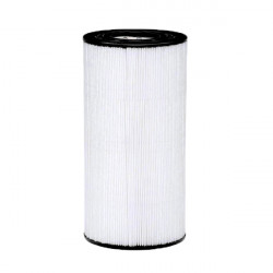 Cartouche Hayward CX900RE - pour filtre C900