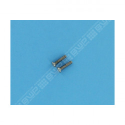 Vis 10-32x7/8" inox - x2 - C76