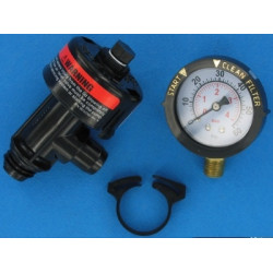 Purge d'air manuelle + manomètre