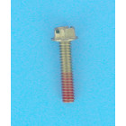 Vis + Joint de turbine